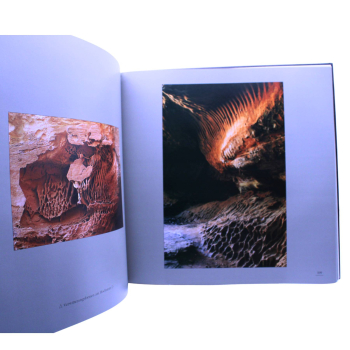 Die Pfalz – Naturimpressionen | Horst Ohliger & Fritz Thomas | Bildband gebunden